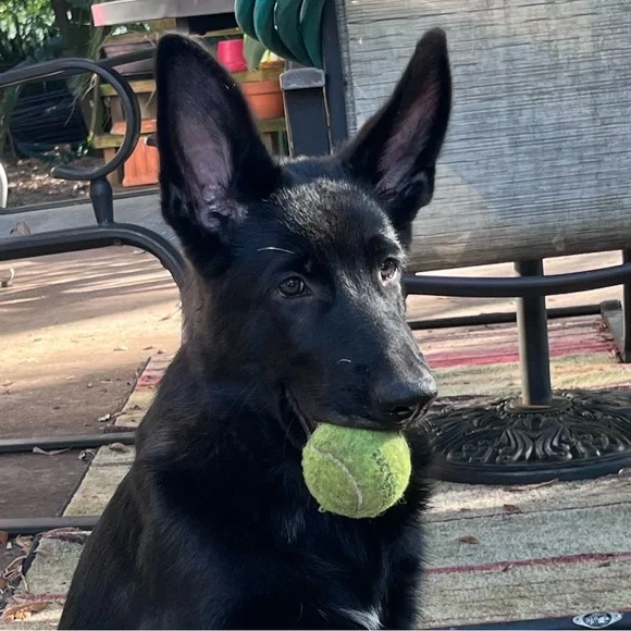 👉PLEASE LIKE AND SHARE NEW GAME! 😊🥰🎉 - Picture 11 of 16